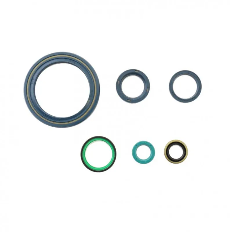 Sada gufer motoru ATHENA P400110400910 Akce