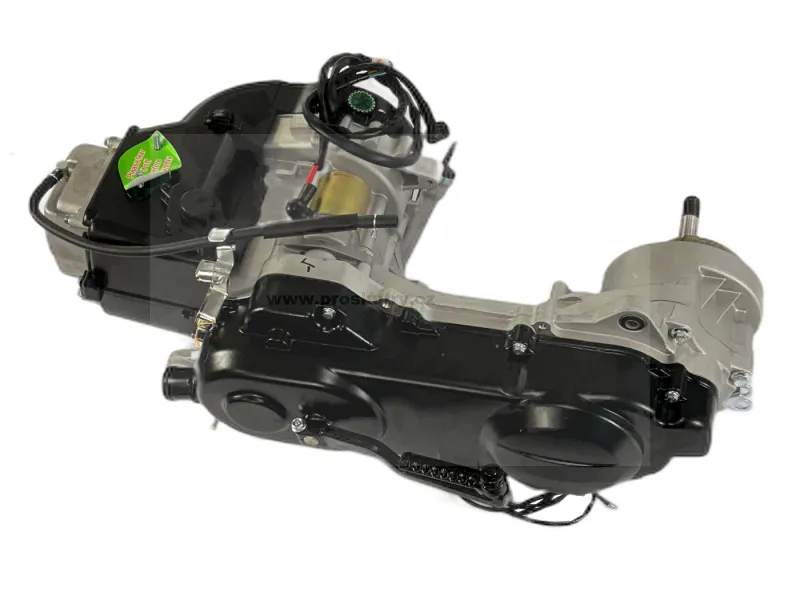 Motor s řemenem 729 mm 50 ccm pro 12palcová kola (zadní bubnová brzda) dlouhá převodová hřídel pro čínský skútr GY6 Euro4 Cenově Výhodný